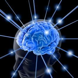 LIBROS DE INTELIGENCIA EMOCIONAL